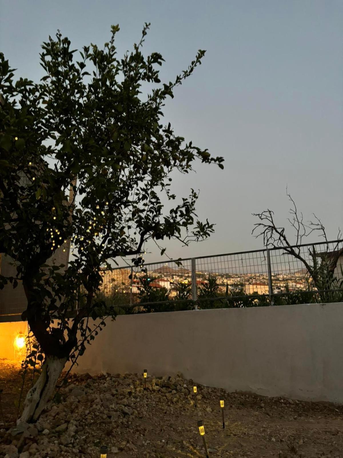 Bibliotheque Vintage Studio & Easy Garden Heraklion Zewnętrze zdjęcie